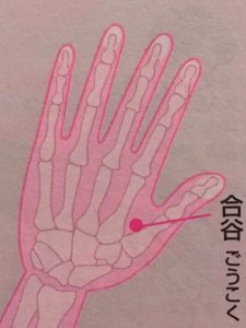 合谷(ごうこく)